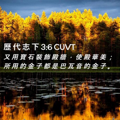 Picture 02 - 歷 代 志 下 3:6 CUVT - 又 用 寶 石 裝 飾 殿 牆 ， 使 殿 華 - Bible Verse Picture