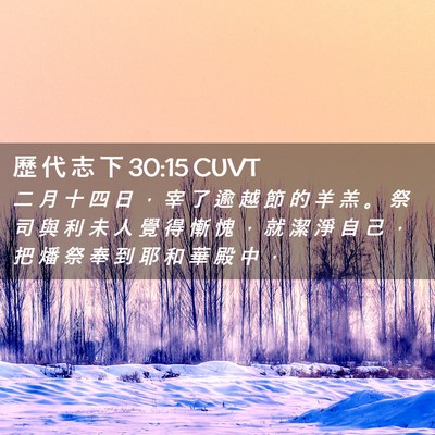 Picture 02 - 歷 代 志 下 30:15 CUVT - 二 月 十 四 日 ， 宰 了 逾 越 節 的 - Bible Verse Picture