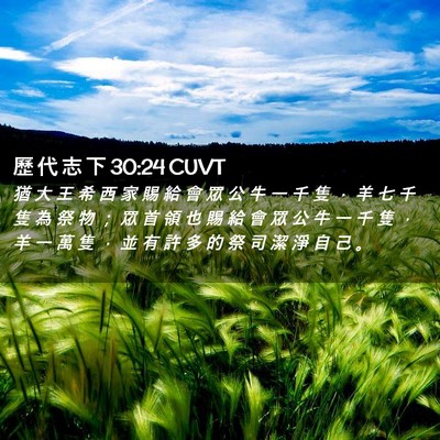 Picture 02 - 歷 代 志 下 30:24 CUVT - 猶 大 王 希 西 家 賜 給 會 眾 公 牛 - Bible Verse Picture