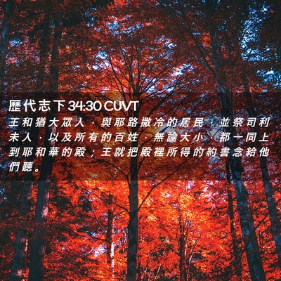 Picture 02 - 歷 代 志 下 34:30 CUVT - 王 和 猶 大 眾 人 ， 與 耶 路 撒 冷 - Bible Verse Picture