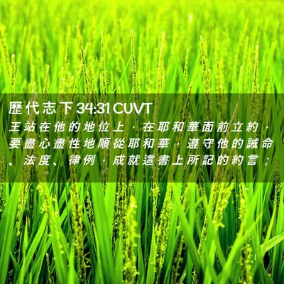Picture 02 - 歷 代 志 下 34:31 CUVT - 王 站 在 他 的 地 位 上 ， 在 耶 和 - Bible Verse Picture