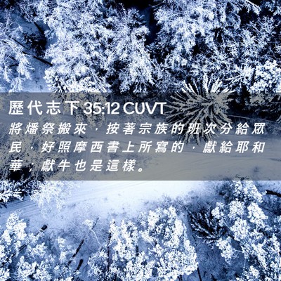 Picture 02 - 歷 代 志 下 35:12 CUVT - 將 燔 祭 搬 來 ， 按 著 宗 族 的 班 - Bible Verse Picture