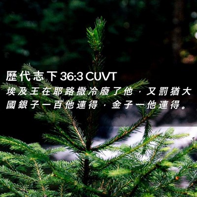 Picture 02 - 歷 代 志 下 36:3 CUVT - 埃 及 王 在 耶 路 撒 冷 廢 了 他 ， - Bible Verse Picture