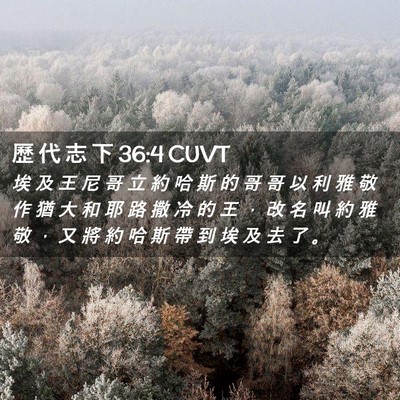 Picture 02 - 歷 代 志 下 36:4 CUVT - 埃 及 王 尼 哥 立 約 哈 斯 的 哥 哥 - Bible Verse Picture