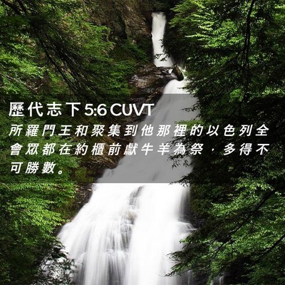 Picture 02 - 歷 代 志 下 5:6 CUVT - 所 羅 門 王 和 聚 集 到 他 那 裡 的 - Bible Verse Picture