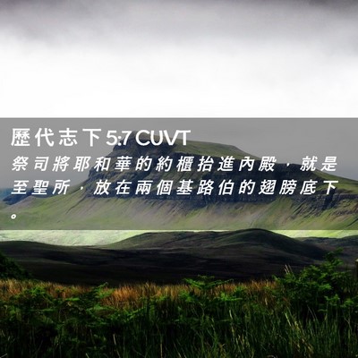 Picture 02 - 歷 代 志 下 5:7 CUVT - 祭 司 將 耶 和 華 的 約 櫃 抬 進 內 - Bible Verse Picture