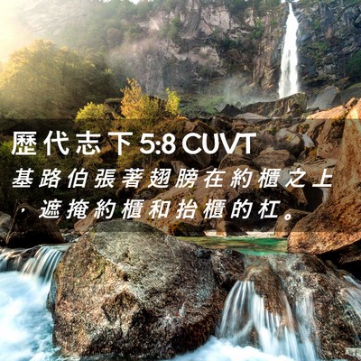 Picture 02 - 歷 代 志 下 5:8 CUVT - 基 路 伯 張 著 翅 膀 在 約 櫃 之 上 - Bible Verse Picture