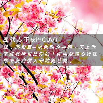 Picture 02 - 歷 代 志 下 6:14 CUVT - 說 ： 耶 和 華 ─ 以 色 列 的 神 啊 - Bible Verse Picture