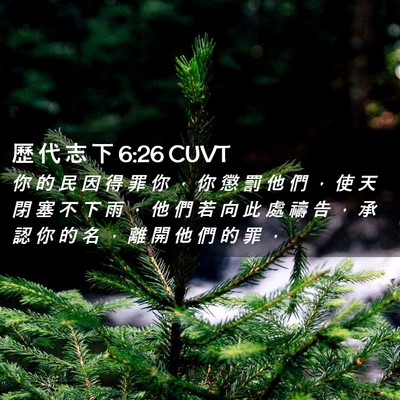 Picture 02 - 歷 代 志 下 6:26 CUVT - 你 的 民 因 得 罪 你 ， 你 懲 罰 他 - Bible Verse Picture