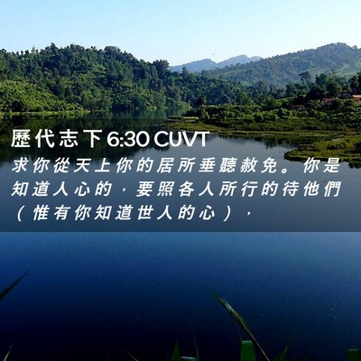 Picture 02 - 歷 代 志 下 6:30 CUVT - 求 你 從 天 上 你 的 居 所 垂 聽 赦 - Bible Verse Picture