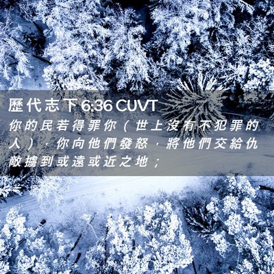 Picture 02 - 歷 代 志 下 6:36 CUVT - 你 的 民 若 得 罪 你 （ 世 上 沒 有 - Bible Verse Picture