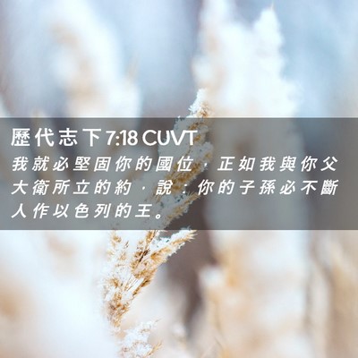 Picture 02 - 歷 代 志 下 7:18 CUVT - 我 就 必 堅 固 你 的 國 位 ， 正 如 - Bible Verse Picture