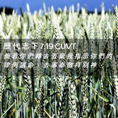 Picture 02 - 歷 代 志 下 7:19 CUVT - 倘 若 你 們 轉 去 丟 棄 我 指 示 你 - Bible Verse Picture
