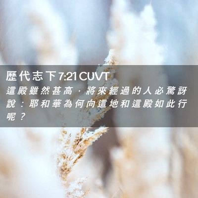 Picture 02 - 歷 代 志 下 7:21 CUVT - 這 殿 雖 然 甚 高 ， 將 來 經 過 的 - Bible Verse Picture