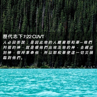 Picture 02 - 歷 代 志 下 7:22 CUVT - 人 必 回 答 說 ： 是 因 此 地 的 人 - Bible Verse Picture