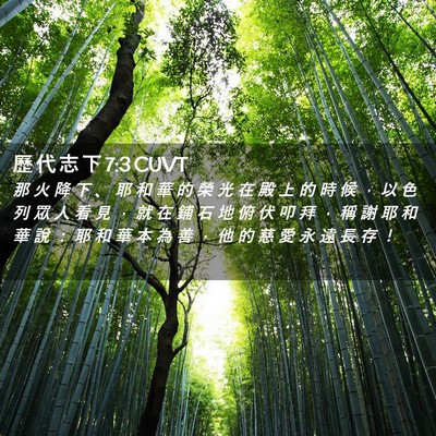 Picture 02 - 歷 代 志 下 7:3 CUVT - 那 火 降 下 、 耶 和 華 的 榮 光 在 - Bible Verse Picture