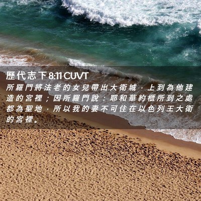 Picture 02 - 歷 代 志 下 8:11 CUVT - 所 羅 門 將 法 老 的 女 兒 帶 出 大 - Bible Verse Picture