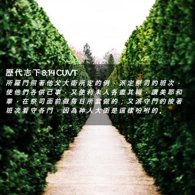Picture 02 - 歷 代 志 下 8:14 CUVT - 所 羅 門 照 著 他 父 大 衛 所 定 的 - Bible Verse Picture