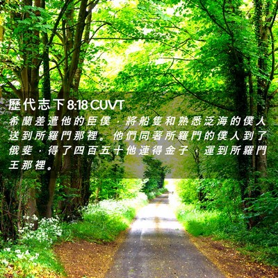 Picture 02 - 歷 代 志 下 8:18 CUVT - 希 蘭 差 遣 他 的 臣 僕 ， 將 船 隻 - Bible Verse Picture