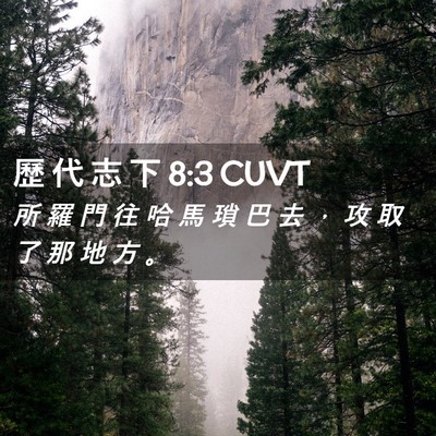 Picture 02 - 歷 代 志 下 8:3 CUVT - 所 羅 門 往 哈 馬 瑣 巴 去 ， 攻 取 - Bible Verse Picture