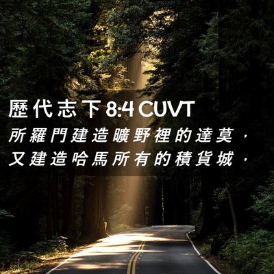 Picture 02 - 歷 代 志 下 8:4 CUVT - 所 羅 門 建 造 曠 野 裡 的 達 莫 ， - Bible Verse Picture