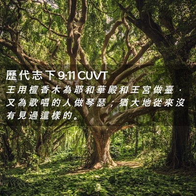 Picture 02 - 歷 代 志 下 9:11 CUVT - 王 用 檀 香 木 為 耶 和 華 殿 和 王 - Bible Verse Picture