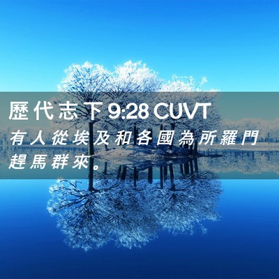 Picture 02 - 歷 代 志 下 9:28 CUVT - 有 人 從 埃 及 和 各 國 為 所 羅 門 - Bible Verse Picture