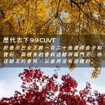 Picture 02 - 歷 代 志 下 9:9 CUVT - 於 是 示 巴 女 王 將 一 百 二 十 他 - Bible Verse Picture