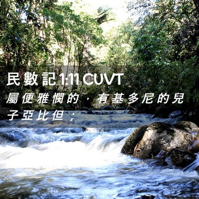 Picture 02 - 民 數 記 1:11 CUVT - 屬 便 雅 憫 的 ， 有 基 多 尼 的 兒 - Bible Verse Picture