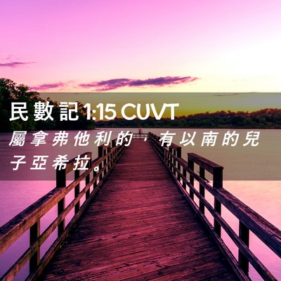 Picture 02 - 民 數 記 1:15 CUVT - 屬 拿 弗 他 利 的 ， 有 以 南 的 兒 - Bible Verse Picture