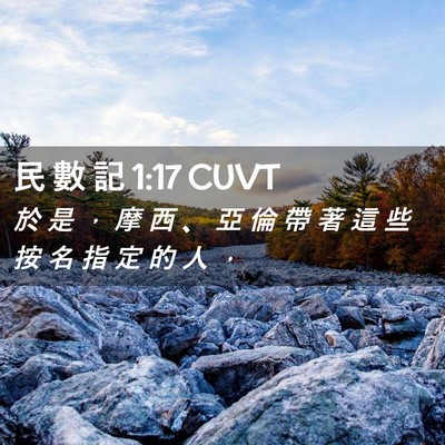 Picture 02 - 民 數 記 1:17 CUVT - 於 是 ， 摩 西 、 亞 倫 帶 著 這 些 - Bible Verse Picture