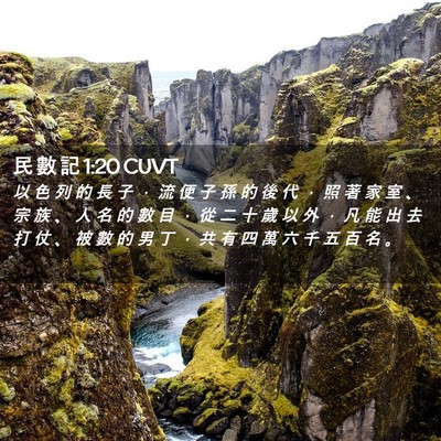 Picture 02 - 民 數 記 1:20 CUVT - 以 色 列 的 長 子 ， 流 便 子 孫 的 - Bible Verse Picture