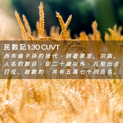 Picture 02 - 民 數 記 1:30 CUVT - 西 布 倫 子 孫 的 後 代 ， 照 著 家 - Bible Verse Picture