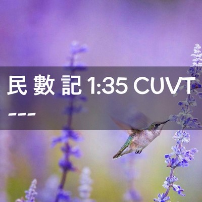 Picture 02 - 民 數 記 1:35 CUVT -  - Bible Verse Picture