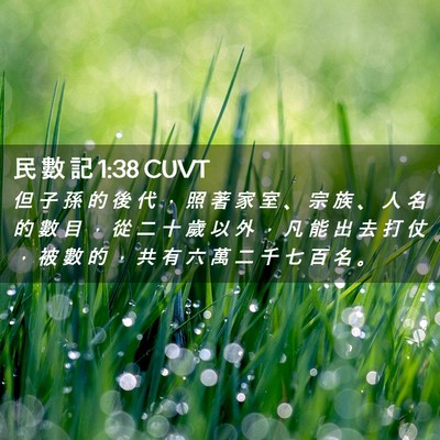 Picture 02 - 民 數 記 1:38 CUVT - 但 子 孫 的 後 代 ， 照 著 家 室 、 - Bible Verse Picture