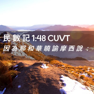 Picture 02 - 民 數 記 1:48 CUVT - 因 為 耶 和 華 曉 諭 摩 西 說 - Bible Verse Picture