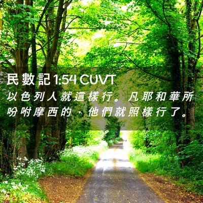Picture 02 - 民 數 記 1:54 CUVT - 以 色 列 人 就 這 樣 行 。 凡 耶 和 - Bible Verse Picture