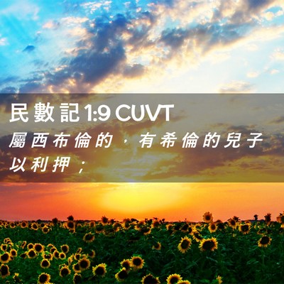 Picture 02 - 民 數 記 1:9 CUVT - 屬 西 布 倫 的 ， 有 希 倫 的 兒 子 - Bible Verse Picture