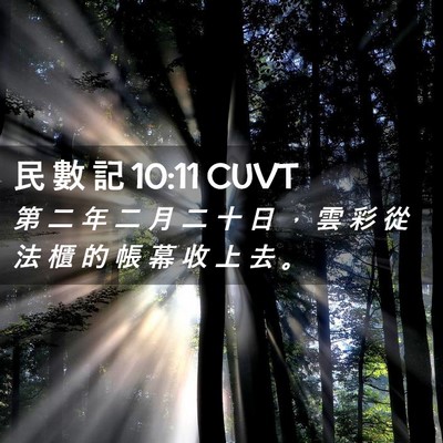 Picture 02 - 民 數 記 10:11 CUVT - 第 二 年 二 月 二 十 日 ， 雲 彩 從 - Bible Verse Picture