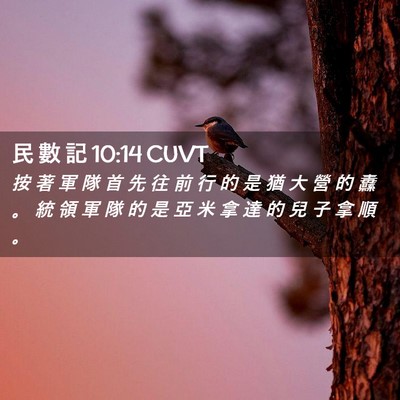 Picture 02 - 民 數 記 10:14 CUVT - 按 著 軍 隊 首 先 往 前 行 的 是 猶 - Bible Verse Picture