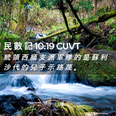 Picture 02 - 民 數 記 10:19 CUVT - 統 領 西 緬 支 派 軍 隊 的 是 蘇 利 - Bible Verse Picture