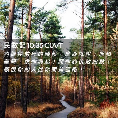 Picture 02 - 民 數 記 10:35 CUVT - 約 櫃 往 前 行 的 時 候 ， 摩 西 就 - Bible Verse Picture