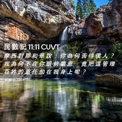 Picture 02 - 民 數 記 11:11 CUVT - 摩 西 對 耶 和 華 說 ： 你 為 何 苦 - Bible Verse Picture