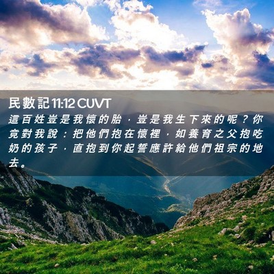 Picture 02 - 民 數 記 11:12 CUVT - 這 百 姓 豈 是 我 懷 的 胎 ， 豈 是 - Bible Verse Picture
