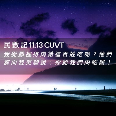 Picture 02 - 民 數 記 11:13 CUVT - 我 從 那 裡 得 肉 給 這 百 姓 吃 呢 - Bible Verse Picture