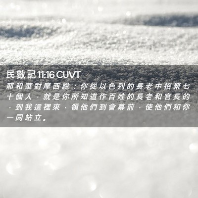 Picture 02 - 民 數 記 11:16 CUVT - 耶 和 華 對 摩 西 說 ： 你 從 以 色 - Bible Verse Picture
