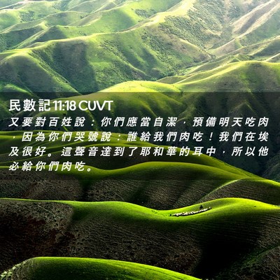Picture 02 - 民 數 記 11:18 CUVT - 又 要 對 百 姓 說 ： 你 們 應 當 自 - Bible Verse Picture