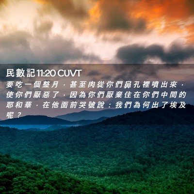 Picture 02 - 民 數 記 11:20 CUVT - 要 吃 一 個 整 月 ， 甚 至 肉 從 你 - Bible Verse Picture