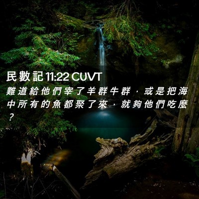 Picture 02 - 民 數 記 11:22 CUVT - 難 道 給 他 們 宰 了 羊 群 牛 群 ， - Bible Verse Picture