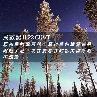 Picture 02 - 民 數 記 11:23 CUVT - 耶 和 華 對 摩 西 說 ： 耶 和 華 的 - Bible Verse Picture